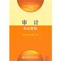 审计实训教程（高等财经实训）