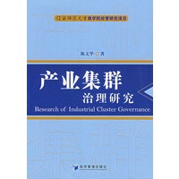 产业集群治理研究