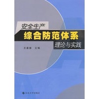 安全生产综合防范体系理论与实践