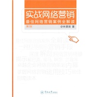 实战网络营销：最佳网络营销案例全解读（第二版）