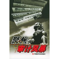 聚焦审计风暴
