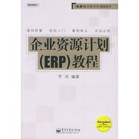 企业资源计划（ERP）教程——信息化经典书丛.教程系列