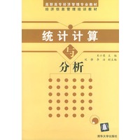 统计计算与分析——高职高专经济管理专业教材