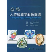 奈特人体胚胎学彩色图谱