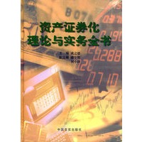 资产证券化理论与实务全书