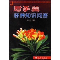君子兰莳养知识问答