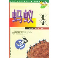 蚂蚁——虫族数宝系列二