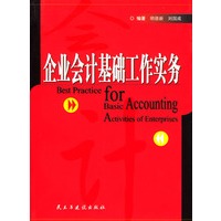 企业会计基础工作实务