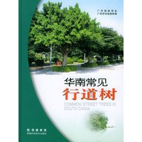华南常见行道树