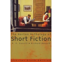 诺顿文学：短篇小说Norton Anthology of Short Fiction 6E Shorter