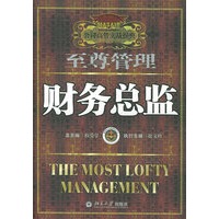 财务总监——公司高管实战操典（2）