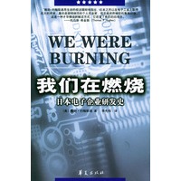 我们在燃烧：日本电子企事业研发史