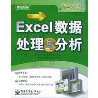 Excel数据处理与分析——电脑任我行Office专家系列