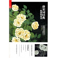 《唐宋词经典——杨雨如是说》