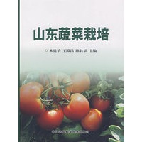 山东蔬菜栽培