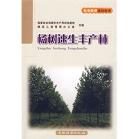 杨树速生丰产林