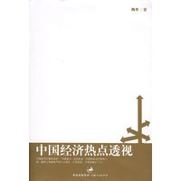 中国经济热点透视