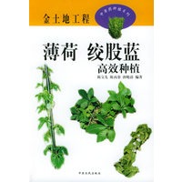 薄荷、绞股蓝高效种植