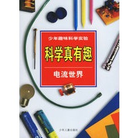 科学真有趣:电流世界
