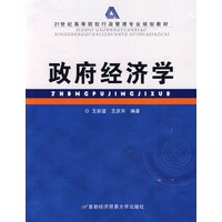 政府经济学