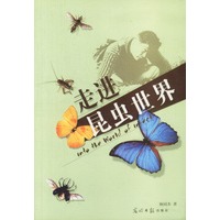 走进昆虫世界