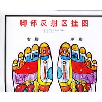 脚部反射区挂图