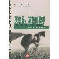 灰色马灰色的骑手/现当代世界文学丛书