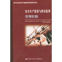 安全生产监察与群众监督管理经验——现代企业安全生产管理典型经验系列丛书