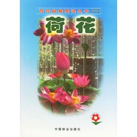 荷花——百花盆栽图说丛书