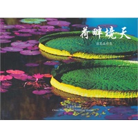 荷畔境天