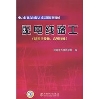 电力行业高技能人才培训系列教材 配电线路工