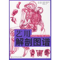 艺用解剖图谱（图文版）
