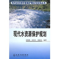 现代水资源保护规划——现代水资源环境保护理论与实践系列丛书