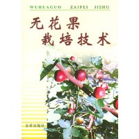 无花果栽培技术