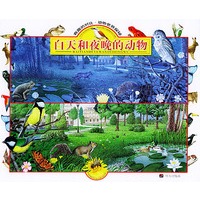 白天和夜晚的动物——有趣的对比·动物世界探秘