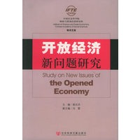 开放经济新问题研究