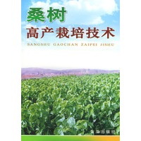 桑树高产栽培技术