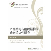 产品结构与组织结构的动态适应性研究