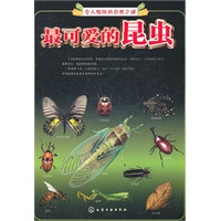 令人惊叹的自然之谜--最可爱的昆虫