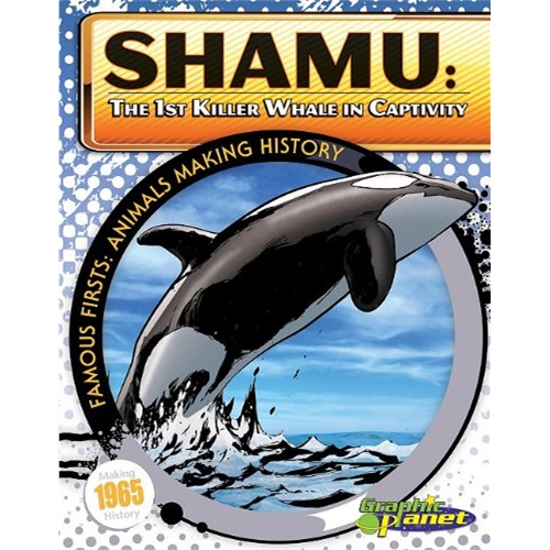 shamu: the 1st killer whale in captivity (famous