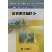 堤防渗流与防冲