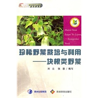 珍稀野菜栽培与利用-块根类野菜