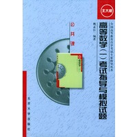 高等数学（一）考试指导与模拟试题（北大版）——全国高等教育自学考试专家指导丛书.公共课