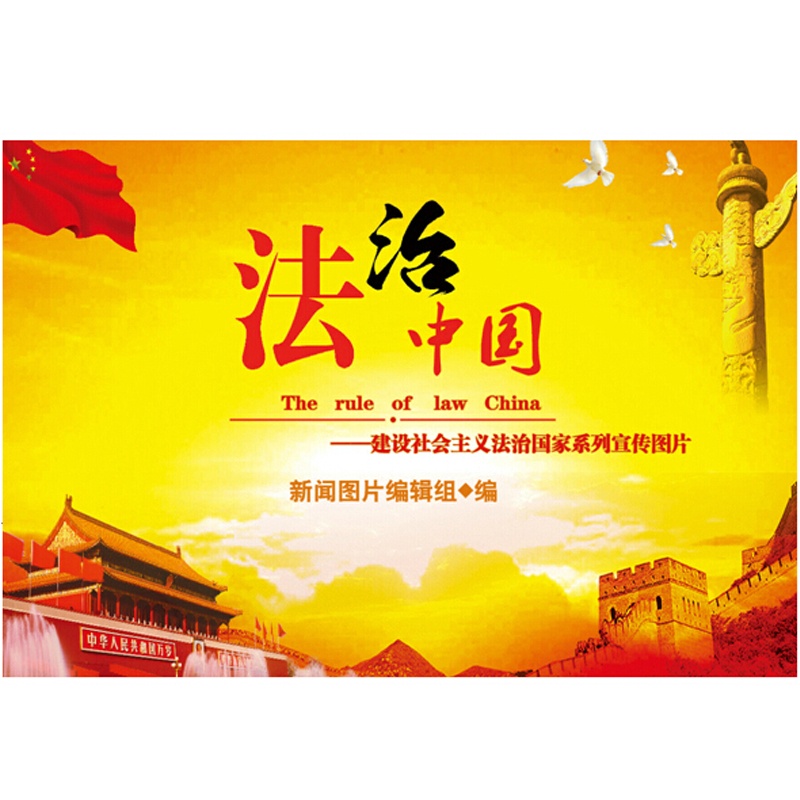 《法治中国 建设社会主义法治国家系列宣传图