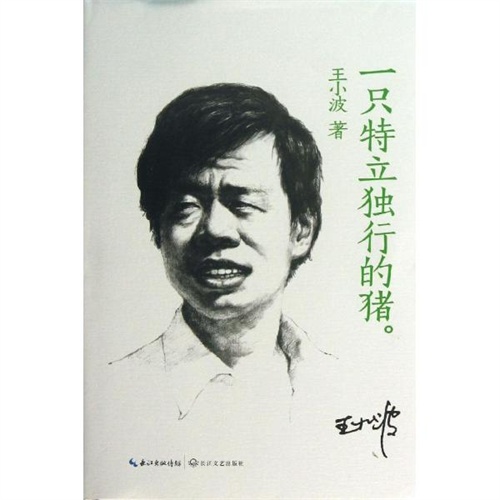 【一只特立独行的猪(白金收藏版) 王小波图片】