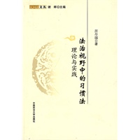 法治视野中的习惯法理论与实践