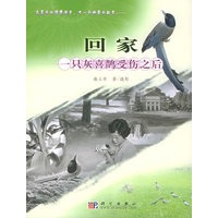 回家：一只灰喜鹊受伤之后