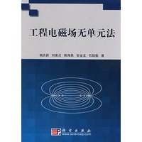 工程电磁场无单元方法