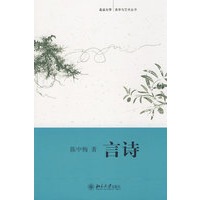 北京大学美学与艺术丛书—言诗