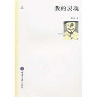 我的灵魂